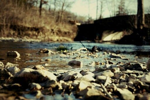 creek.jpg